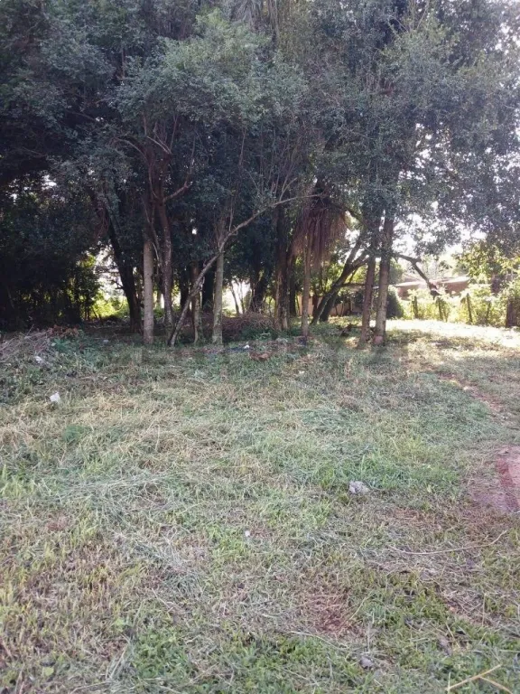 VENDO TERRENO EN SAN LORENZO — foto 3