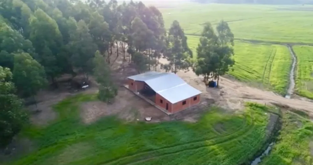 Campo Agrícola Mecanizado en 3 de Mayo - 642 Ha. — foto 3