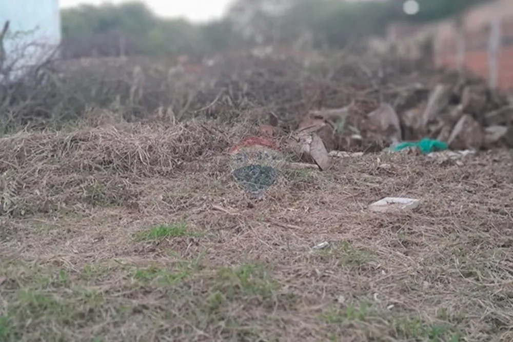 Vendo Terreno en Luque - Cañada San Rafael — foto 3