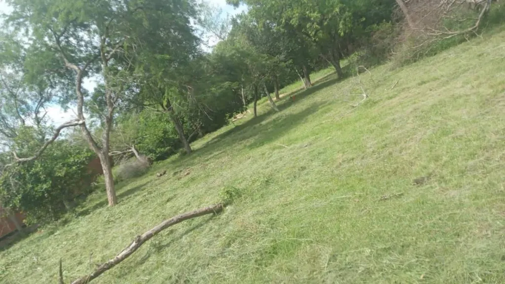 Vendo Terreno en San Bernardino- Fracción Ciervo Cuá- Zona Heriberta Matiauda — foto 2