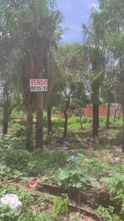 VENDO TERRENO ESQUINA EN CAPIATÁ KM 24 — foto 2