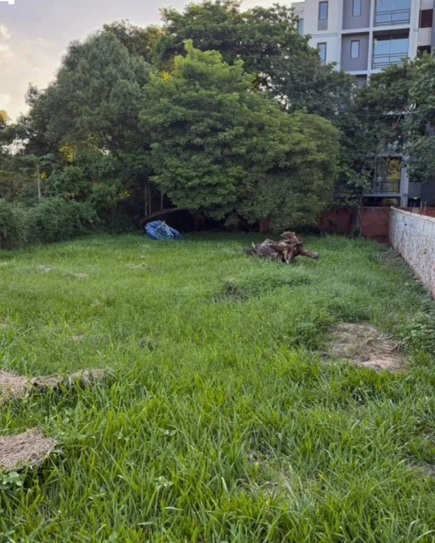 VENDO TERRENO EN LUQUE, ZONA CIT — foto 2