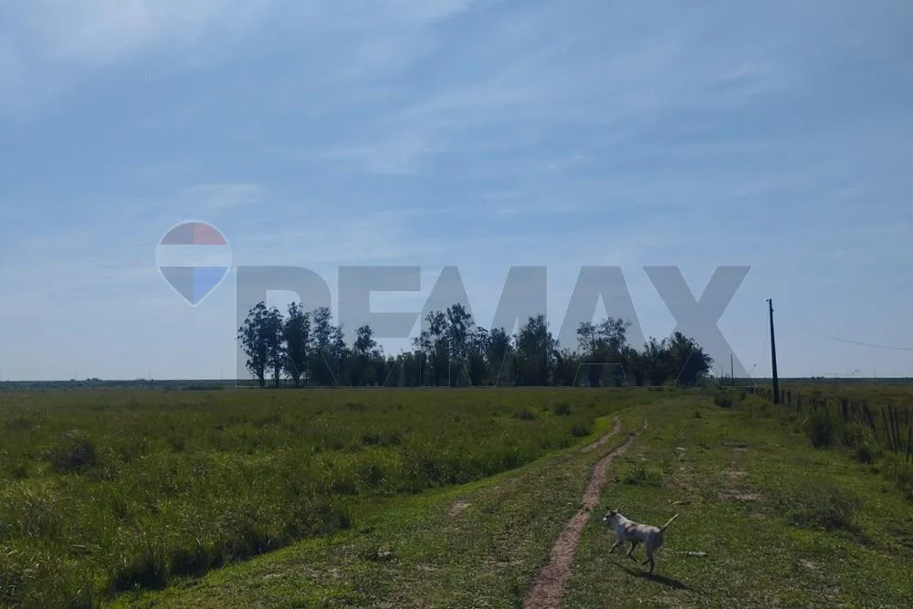 Campo en venta en Arroyos y Esteros — foto 2