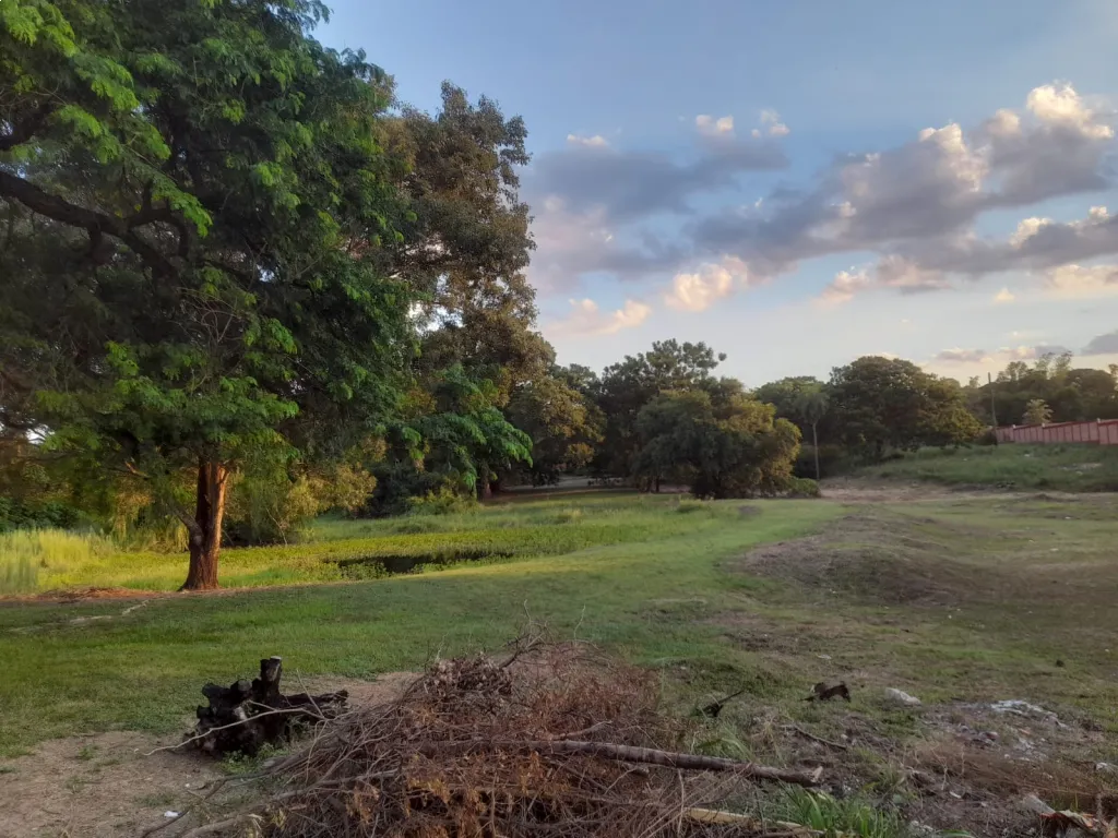 Campo en venta en Mariano Roque Alonso — foto 2