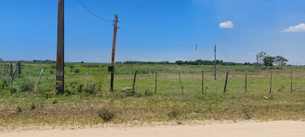 Campo de 1.200 has Oferta — foto 2