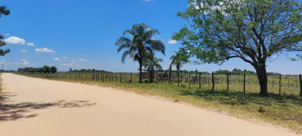 Campo de 1.200 has Oferta — foto 3