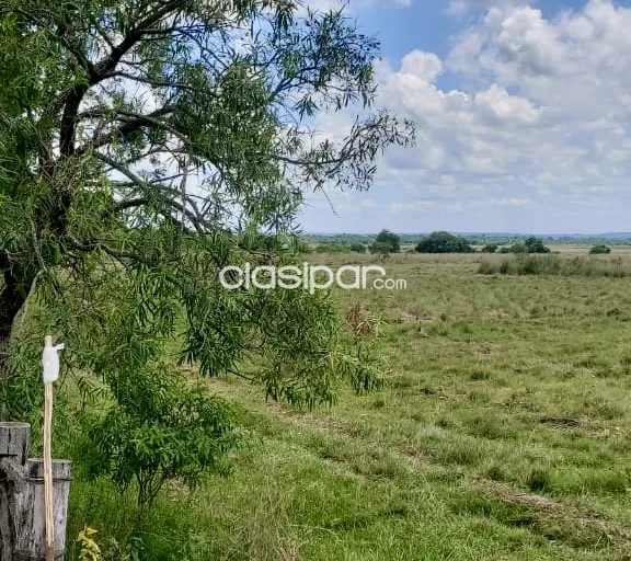 Campo en venta en Arroyos y Esteros — foto 2