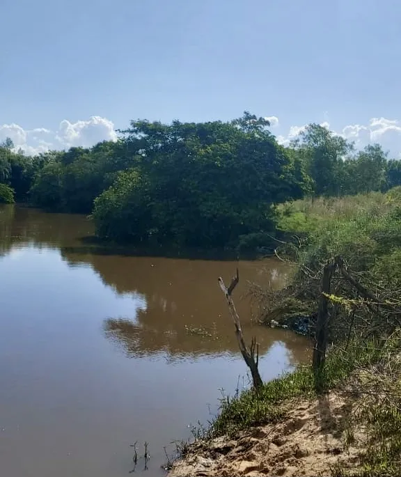 Campo en venta en Arroyos y Esteros — foto 3