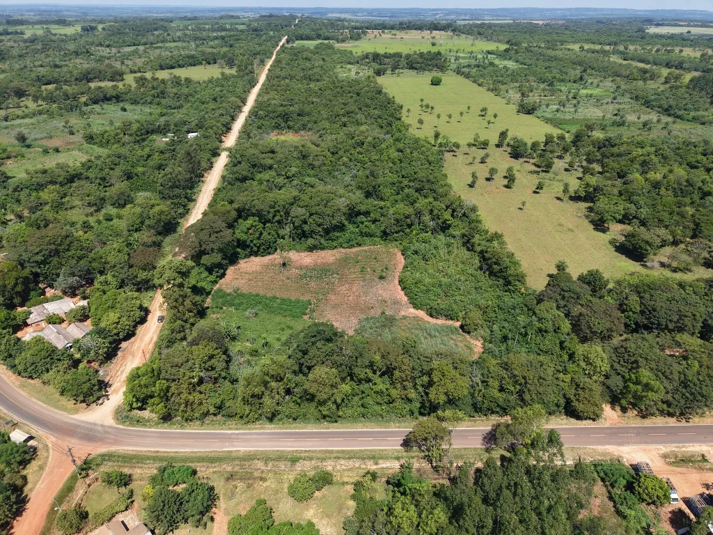 Vendo 10 Hectáreas Dr Cecilio Báez, En Caaguazú Sobre Asfalto Por: 700 Millones — foto 3
