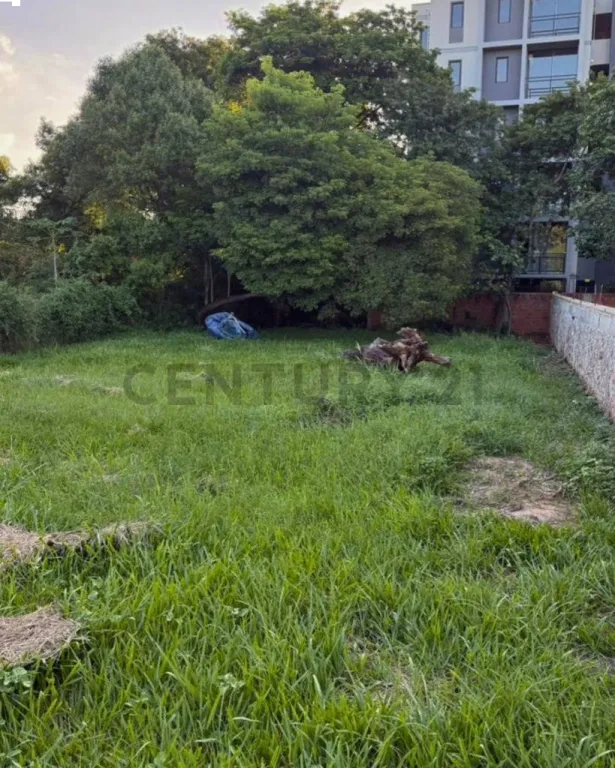 VENDO TERRENO EN LUQUE — foto 2