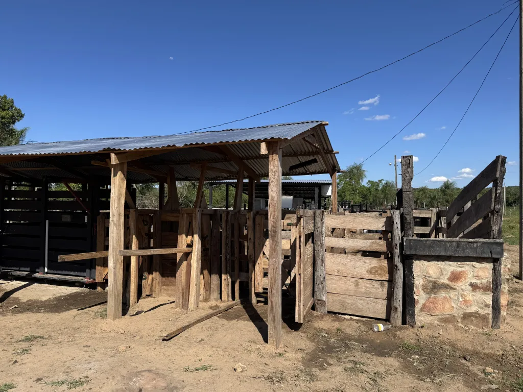 VENDO GRANJA FORMADA EN CAACUPE SOBRE RUTA — foto 2
