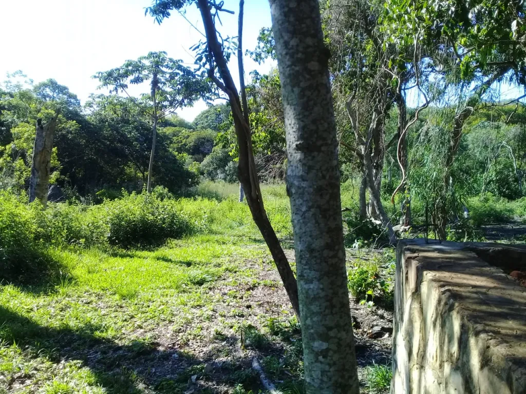 Propietario vende propiedad en Zona del anfiteatro — foto 2