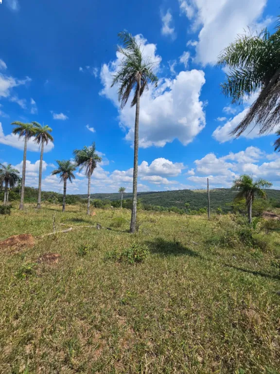 Vendo 5 hectareas en Mbatovi, oferta — фото 2