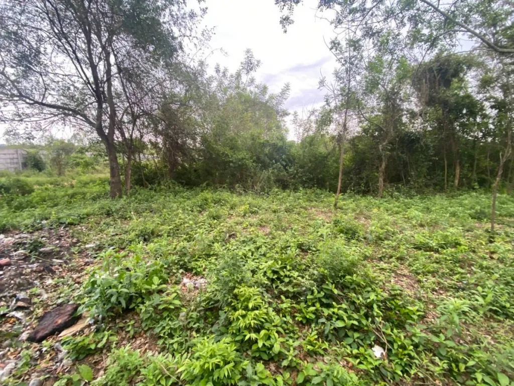 VENDO TERRENO EN LUQUE ZONA YKUA KARANDAY — foto 2