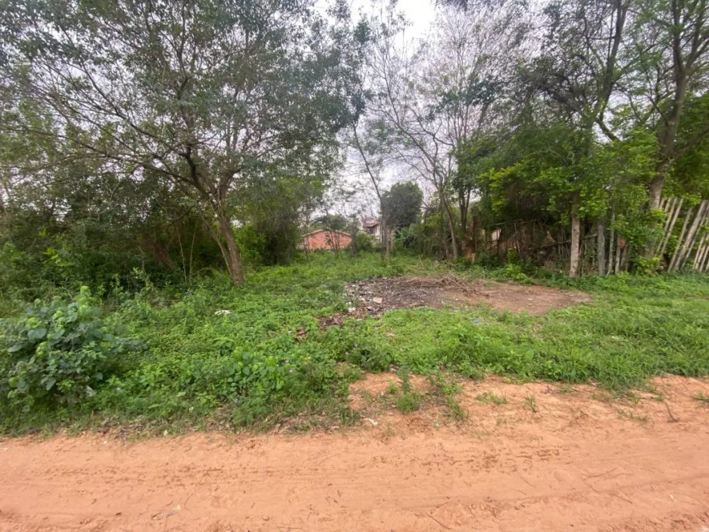 VENDO TERRENO EN LUQUE ZONA YKUA KARANDAY — foto 3