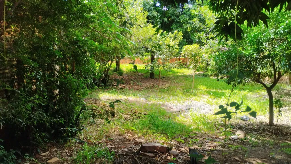 Terreno en Venta, Fernando Mora Zona Sur — foto 3