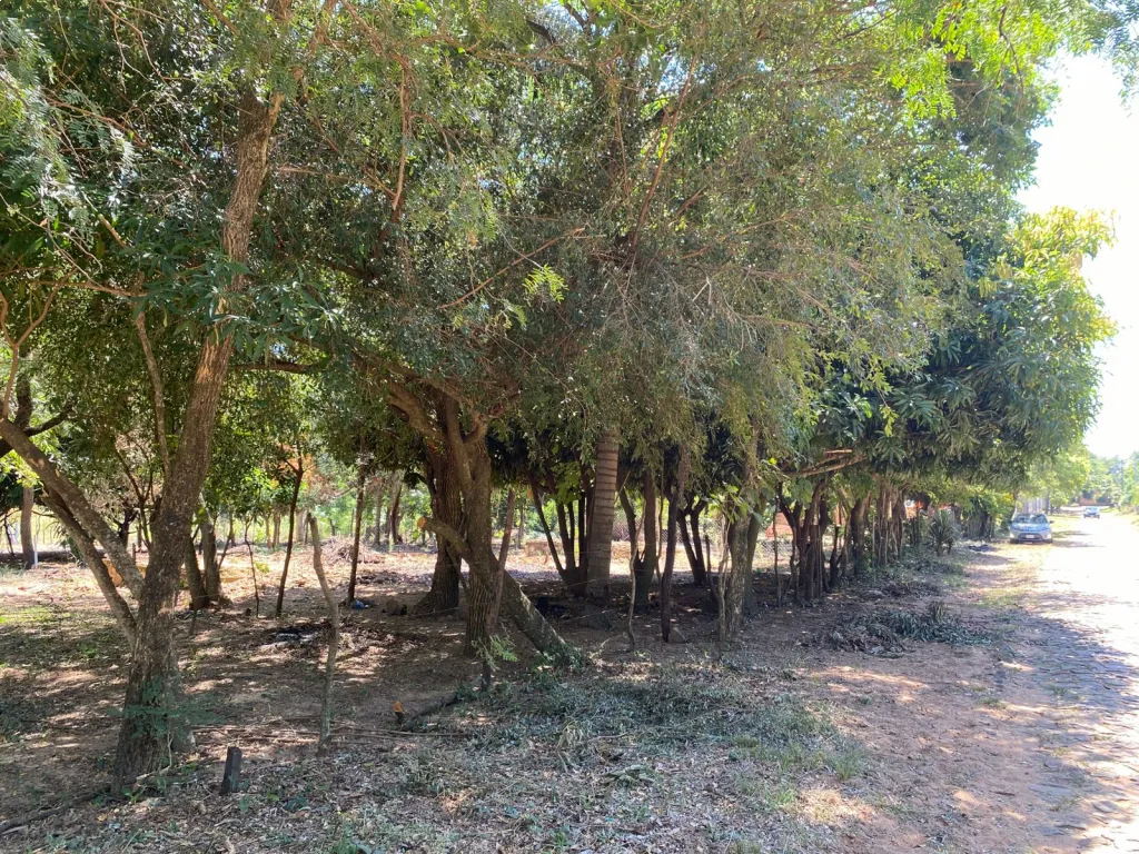 En Venta Lote de 2 Hectáreas con salida a 3 calles en San Bernardino, Ciervo Cua. (ID1934) — foto 2