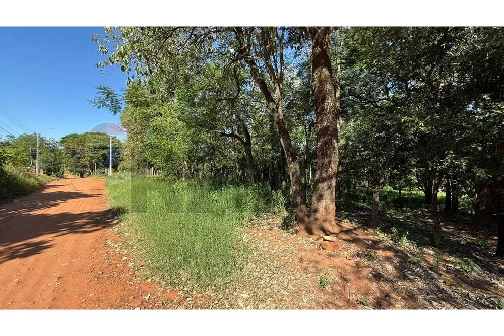 Terreno en venta en Marín Kaaguy, Luque — foto 2