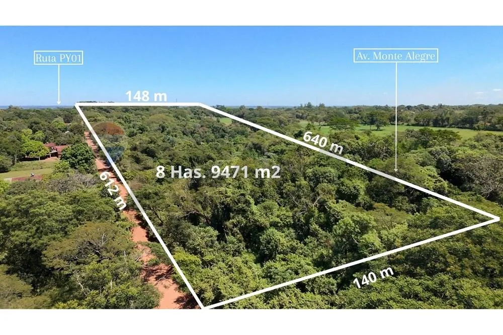 VENDO TERRENO 8 HECTAREAS C 9.471 M2 EN CNEL.BOGADO-DPTO.01ITAPUA SRUTA PY — foto 3