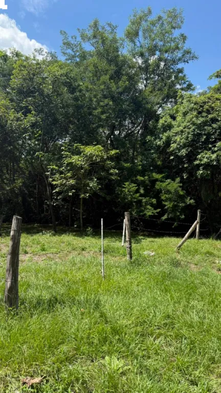 Vendo Terreno en San Bernardino Barrio Colon — foto 2