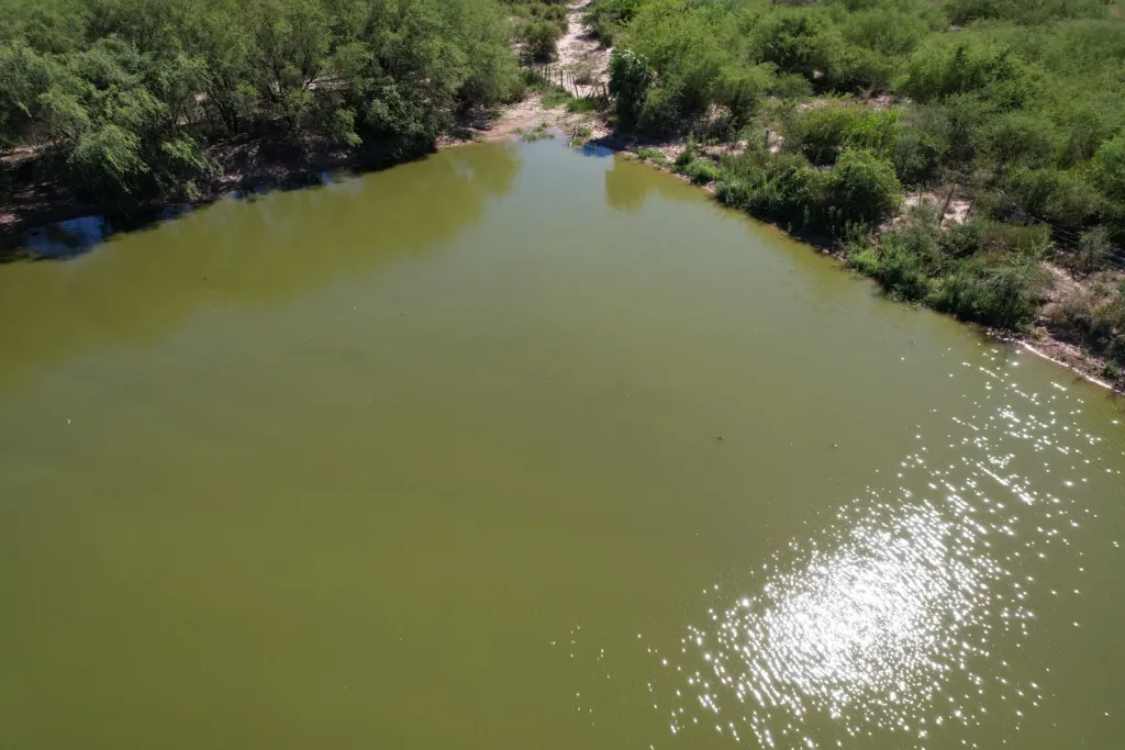 Campo en venta en Zona Cruce Douglas, Teniente Primero Manuel Irala Fernández — foto 2