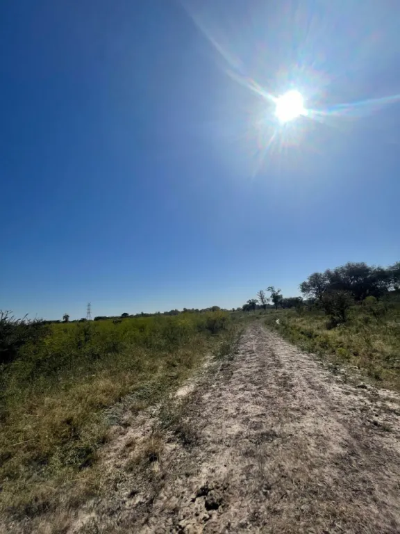 VENDO 22 HECTAREAS EN CHACOI ZONA MONTEPILA — foto 3