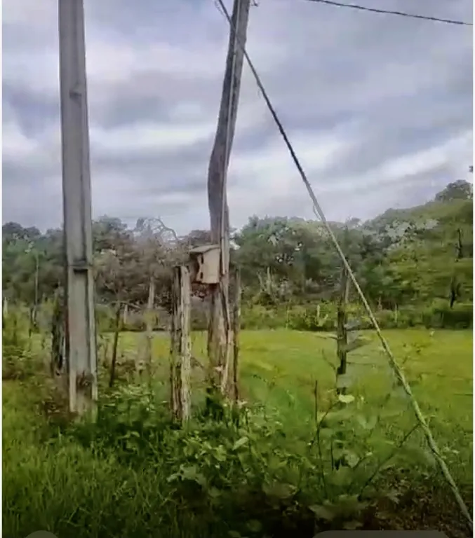 10 HA. CAMPO CON CASA EN HORQUETA-ZONA CAPITAN GIMENEZ — foto 3