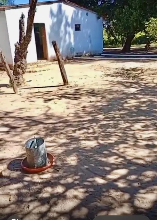 10 HA. CAMPO CON CASA EN HORQUETA-ZONA CAPITAN GIMENEZ — foto 2