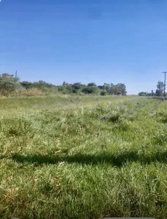 57,5HA. SOBRE ASFALTO EN LORETO - DPTO. CONCEPCION — foto 3