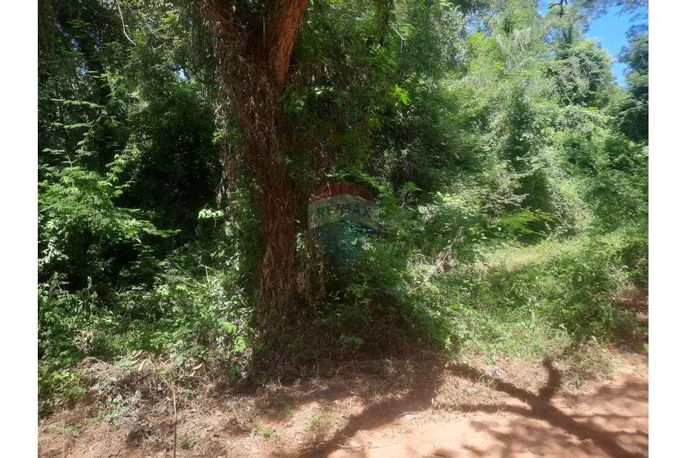 Terreno-Venta-Caacupe — foto 2