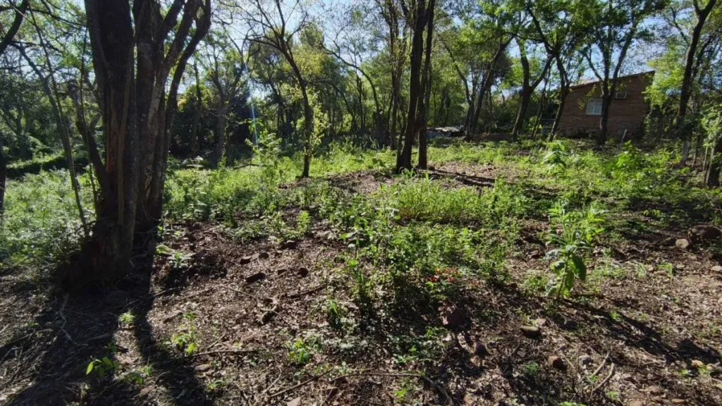 VENDO AMPLIO TERRENO DE 3.810 m2 EN TARUMANDY LUQUE. — foto 3