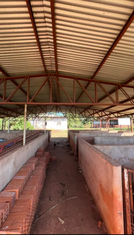 VENDO GRANJA DE 25 HTAS. ESPECIAL PARA CONFINAMIENTO - ZONA YRYVYCUA!!! — foto 2