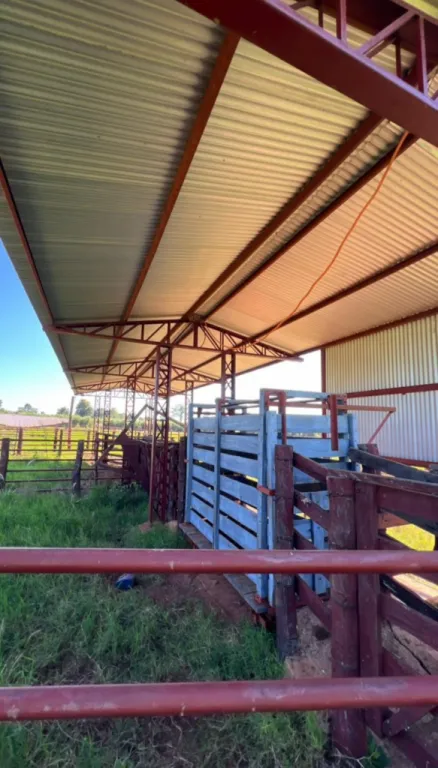 VENDO GRANJA DE 25 HTAS. ESPECIAL PARA CONFINAMIENTO - ZONA YRYVYCUA!!! — foto 3