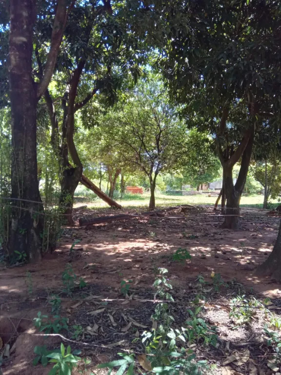 VENDO TERRENO EN LUQUE — foto 2