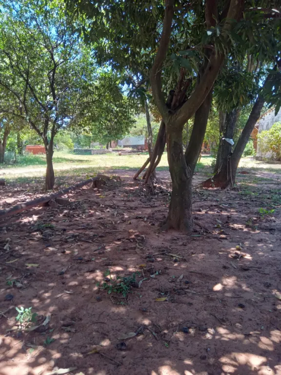 VENDO TERRENO EN LUQUE — foto 3