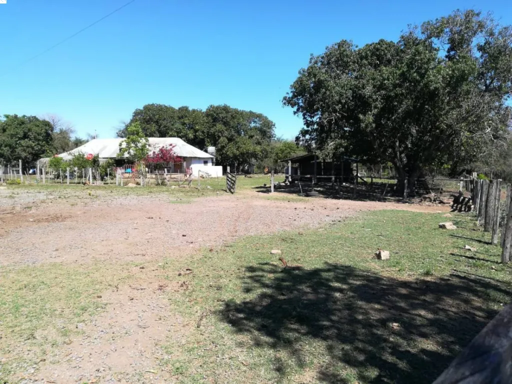 VENDO ESTANCIA DE 400 HECTÁREAS EN CAAPUCÚ — foto 2
