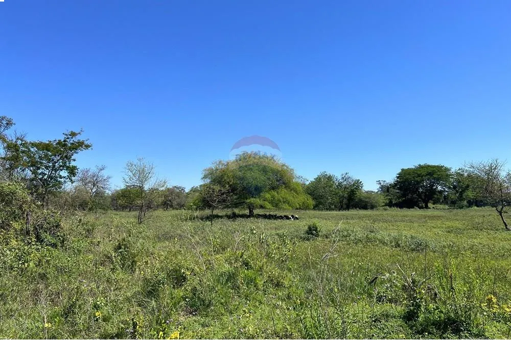 VENDO MAS DE 4 HECTAREAS-NUEVA ASUNCION-VILLA HAYES CACCESO RUTA 12 Y 1,5KM PUERTO CHACOI — foto 3
