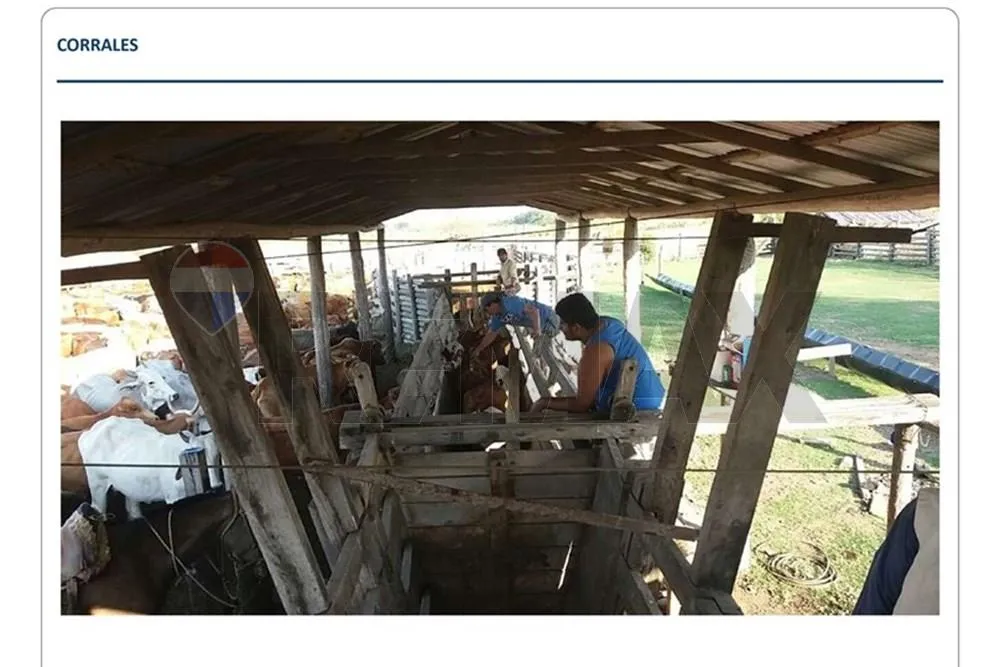 EN VENTA ESTANCIA SAN VALENTÍN | PRESIDENTE HAYES — foto 3