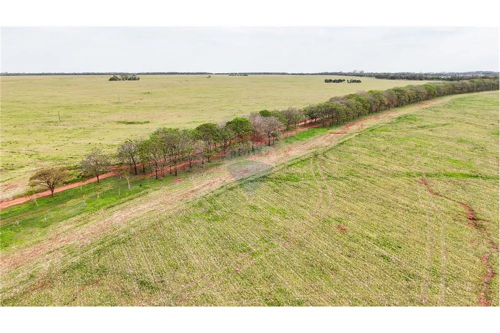 VENDO ESTANCIA 2.045 HECTAREAS EN SAN PEDRO — foto 2