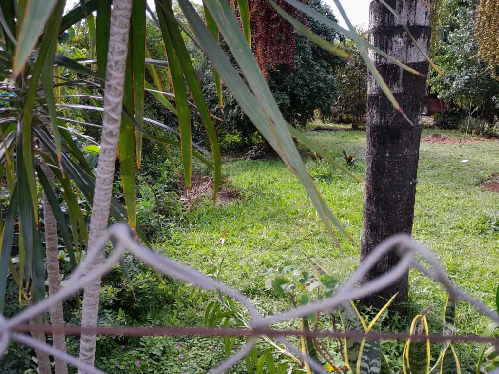 Terreno en Capiatá ruta 2 — foto 2