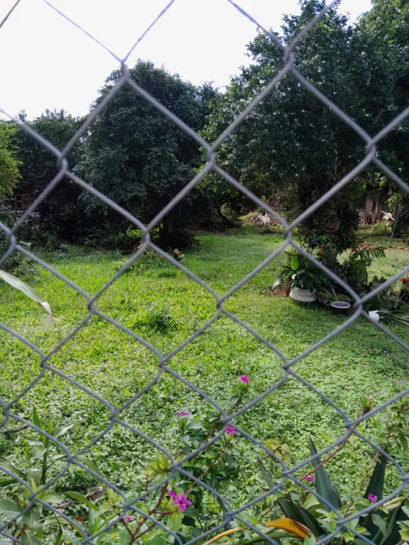 Terreno en Capiatá ruta 2 — foto 3
