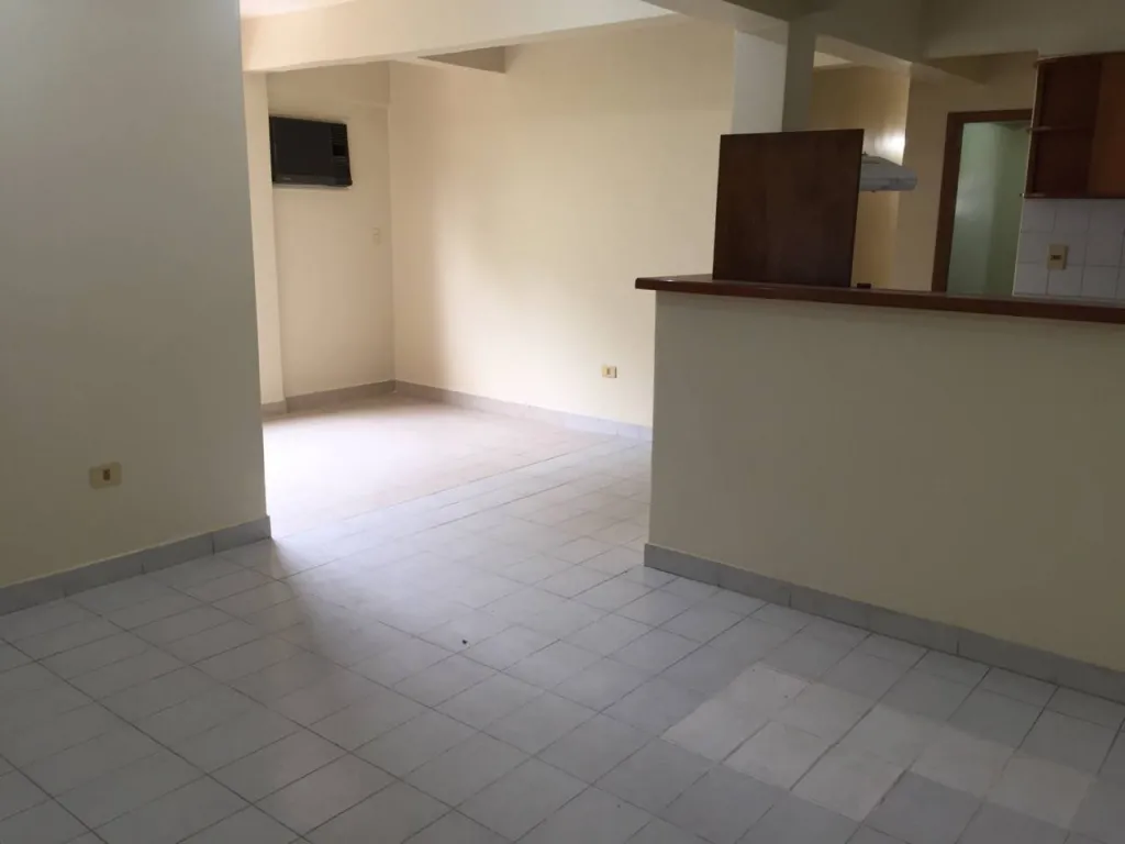 BO OBRERO DEPARTAMENTO DE 1 DORM. PLACAR Y AA, SIN COCHERA, ZONA 21 Y AV. FÉLIX BOGADO — foto 3