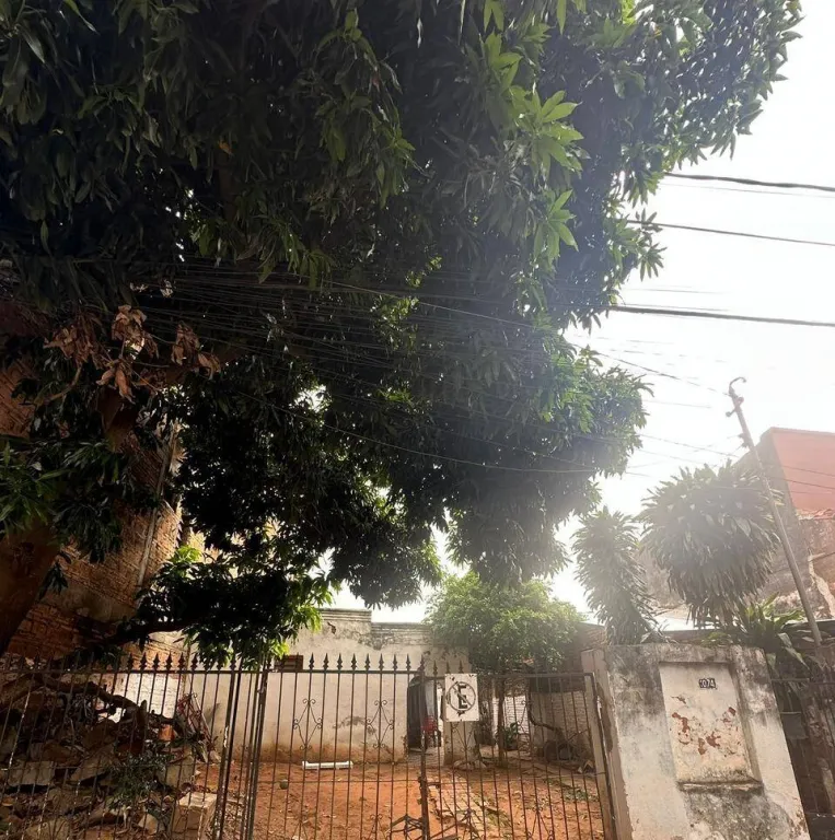 VENDO TERRENO EN BARRIO PETTIROSSI ASUNCIÓN ZONA MERCADO 4 — foto 3
