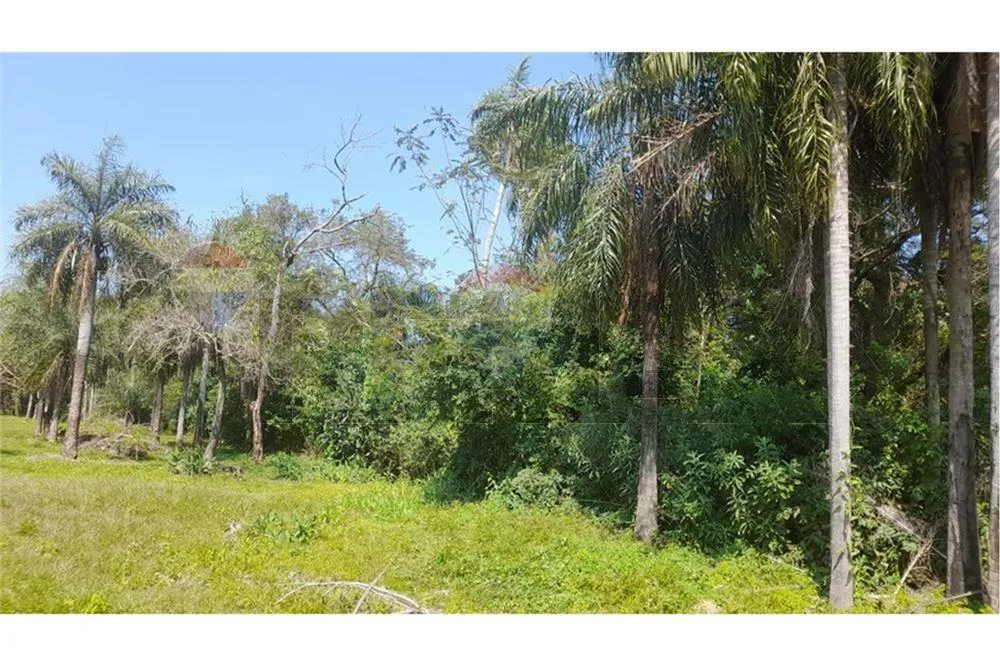 Vendo terreno en San Bernardino — foto 3
