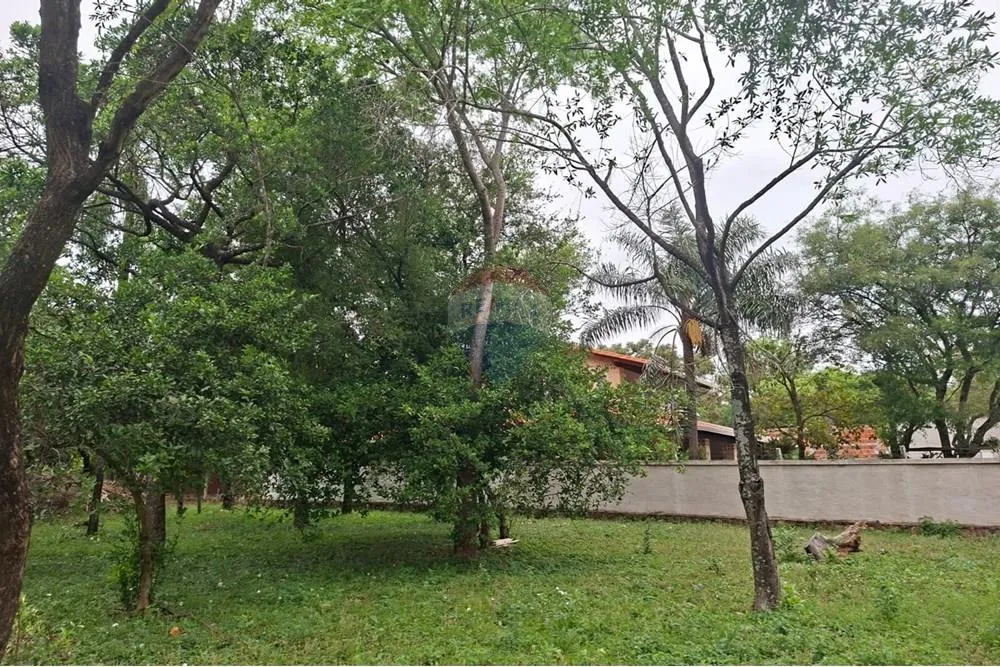 Terreno Altos cordillera — foto 3