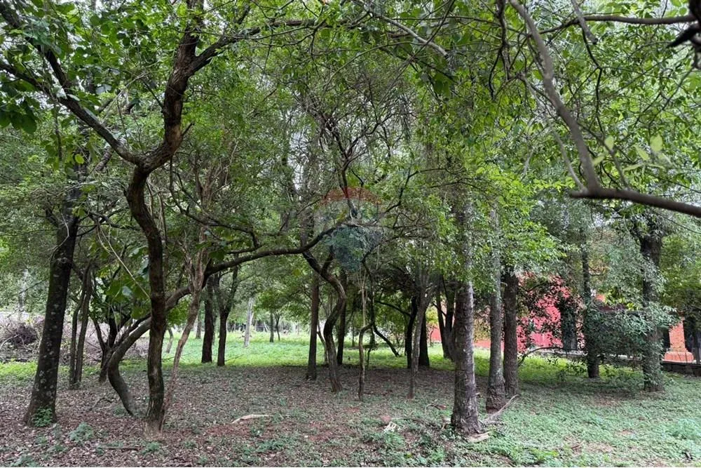 VENDO TERRENO EN ALTOS CORDILLERA 1.920 M2 — foto 2