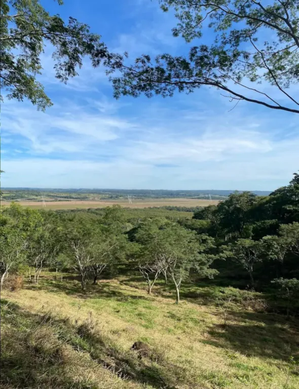 Vendo 5.5 hectáreas — foto 2