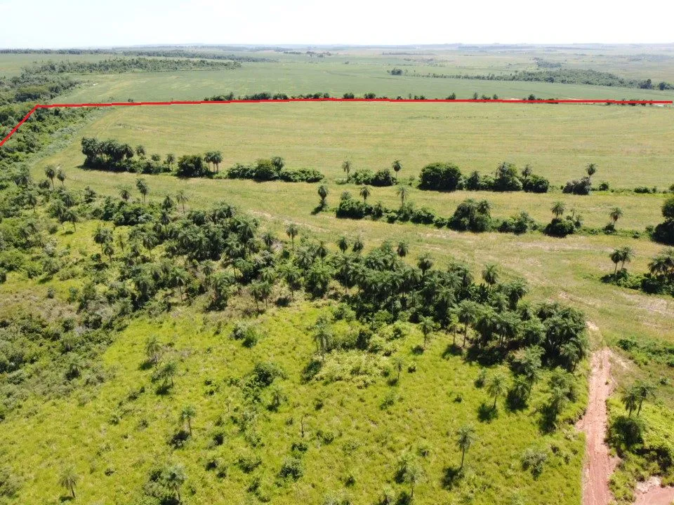 Campo Agrícola Mecanizado en Itakyry - 208 Ha. — foto 2