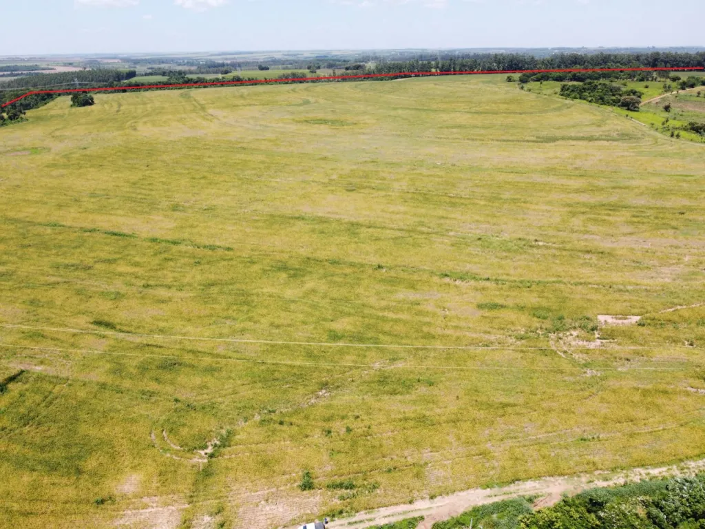 Campo Agrícola Mecanizado en Itakyry - 208 Ha. — foto 3