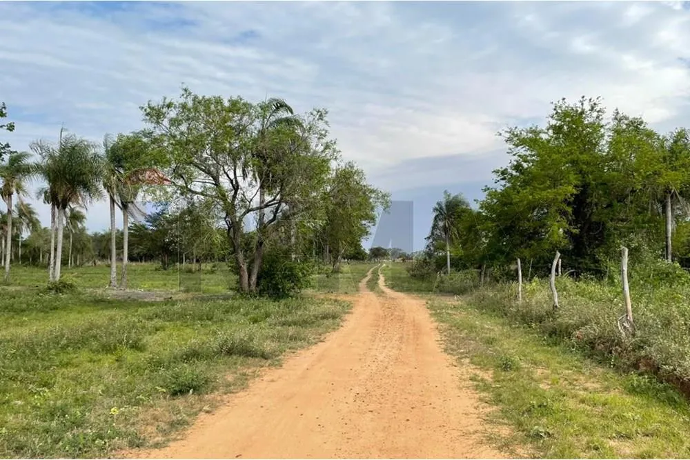 Vendo terreno Zona Sanber — foto 3